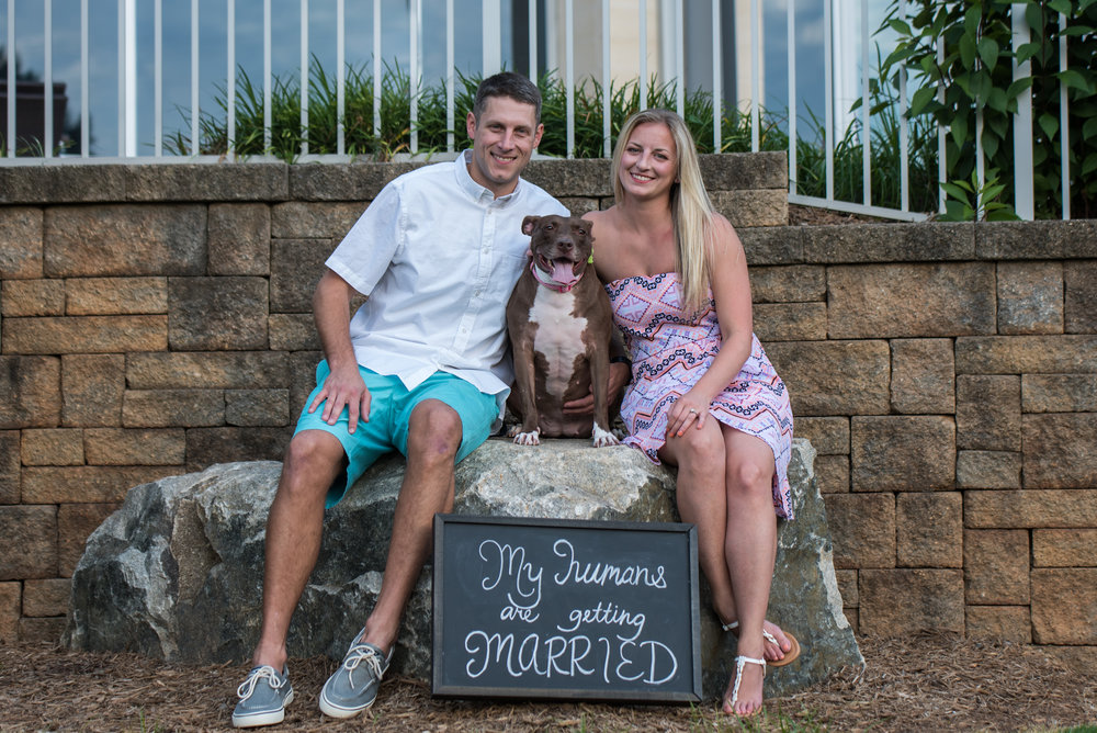 Charlotte, Wedding, Engagement, Party of Two Photography, Dog, Sign, Greenway, Little Sugar Creek Greenway, Couple