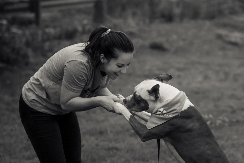 Black and White Fraizer Park Dog Adoption Session with Charlotte Photographer