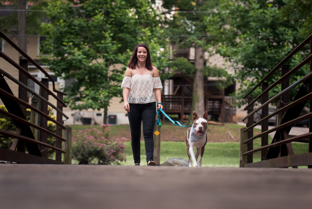 Fraizer Park Dog Adoption Session with Charlotte Photographer