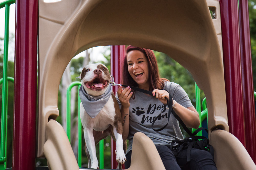 Fraizer Park Dog Adoption Session with Charlotte Photographer