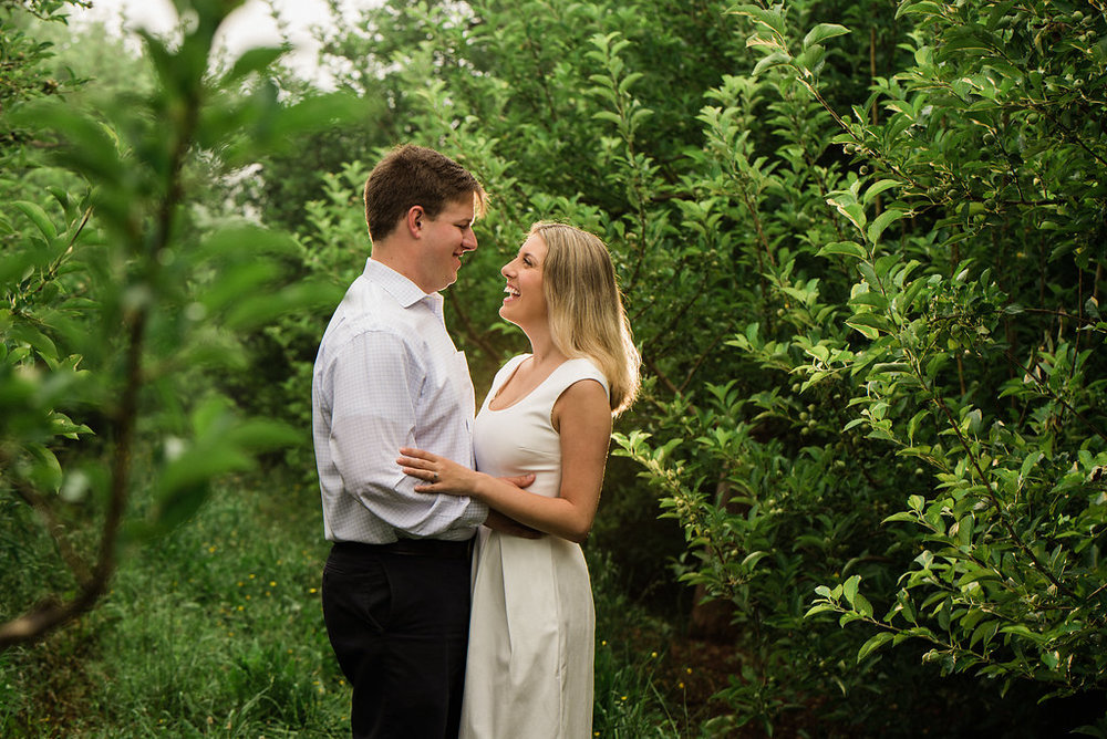 Carter Mountain Orchard Engagement Session in Charlottesville VA from Charlotte Wedding Photographer