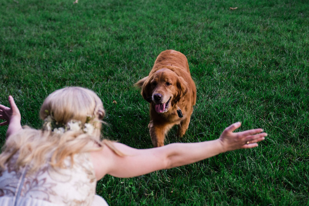Bride and Dog at St. Patrick Episcopal Church Elopement in Mooresville, NC from Charlotte Wedding Photographer