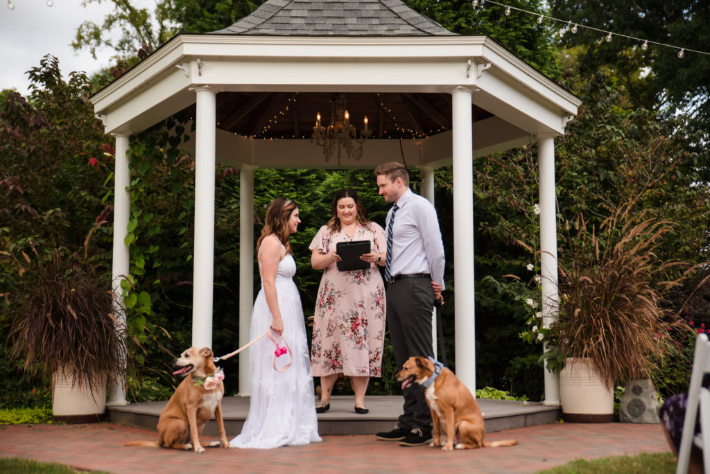 Photo of dogs in wedding ceremony