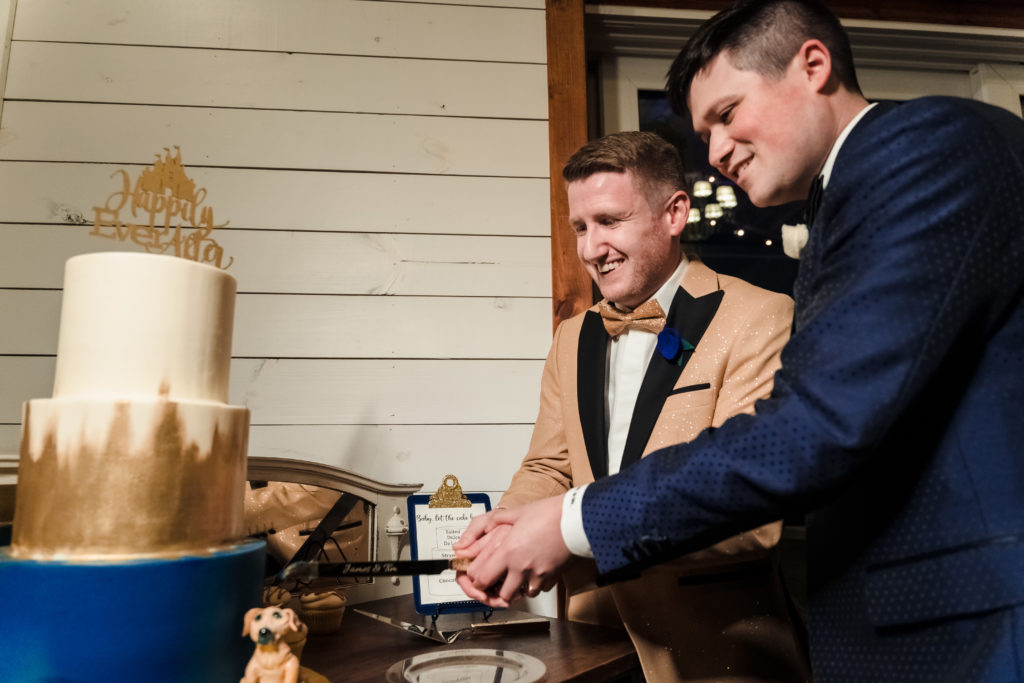 Disney themed wedding cake cutting at Hidden Hill in Morganton, NC