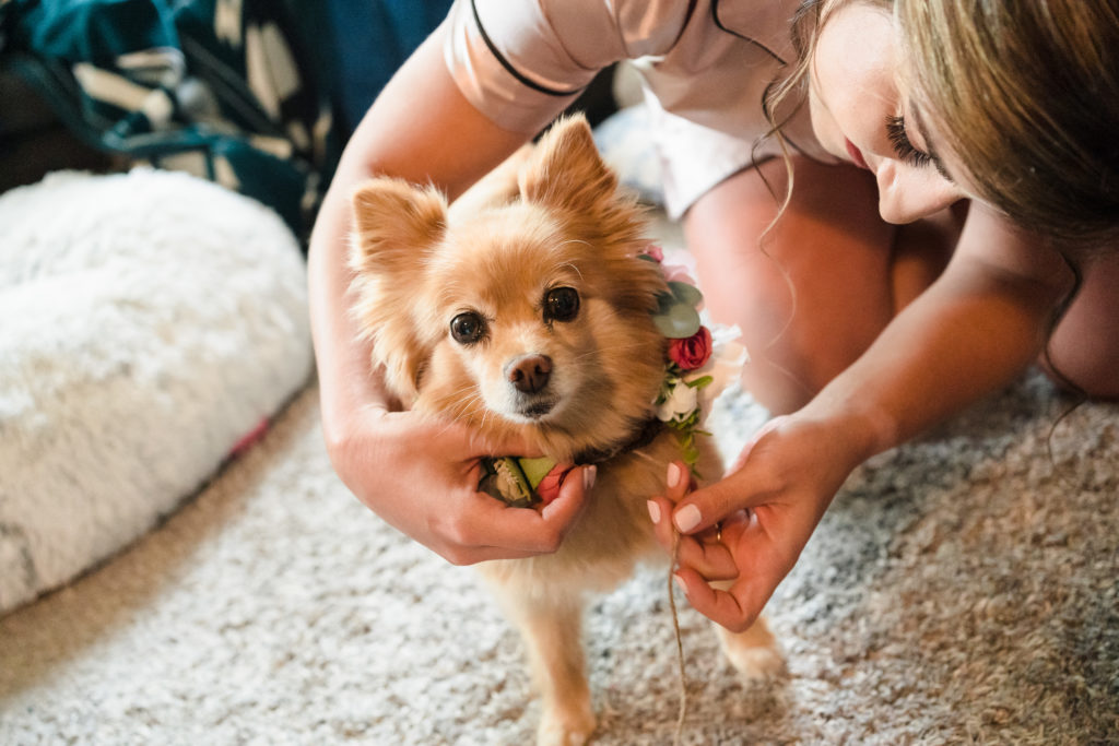Dog and flower necklace in wedding