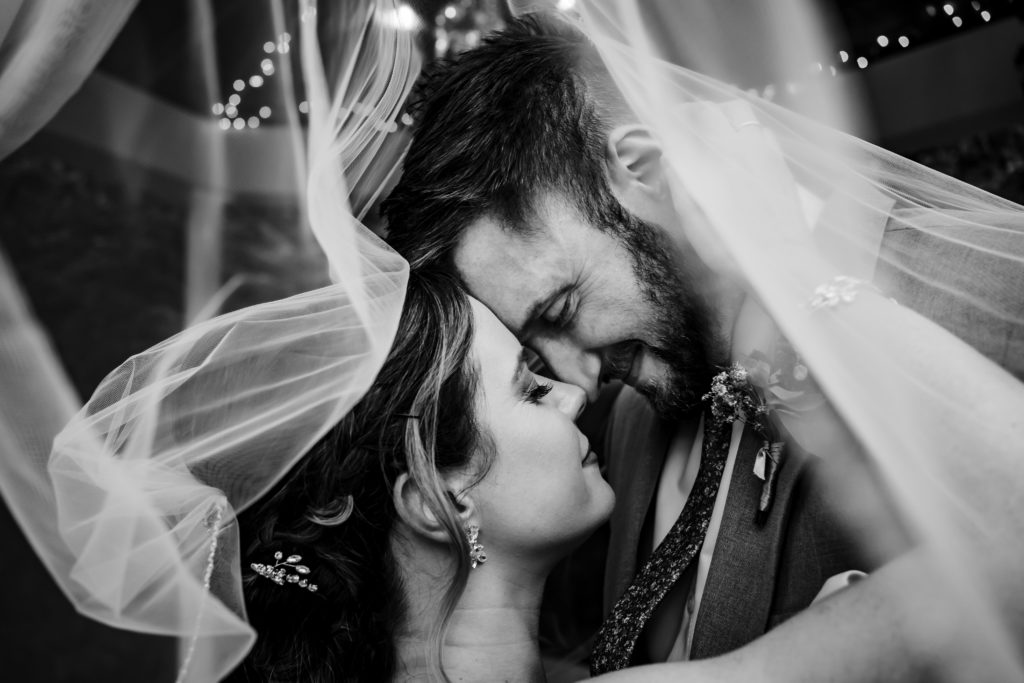 Beautiful portrait of bride and groom under the veil.