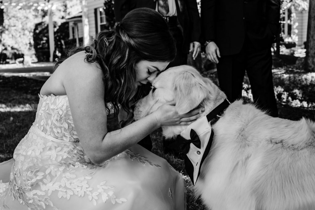Bride and her golden retriever share moment before wedding outside at Venues at Langtree