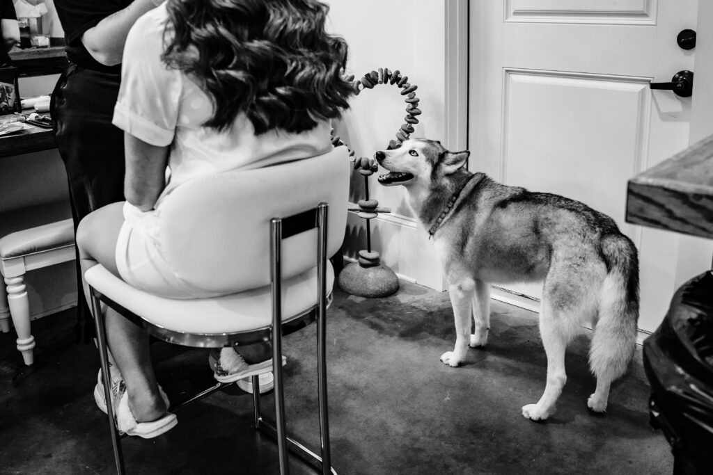 getting ready at dog-friendly charlotte wedding venue